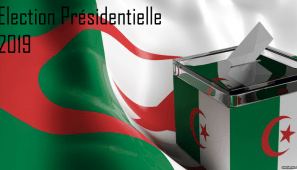 International Festival Of Photojournalism Visa Pour Limage